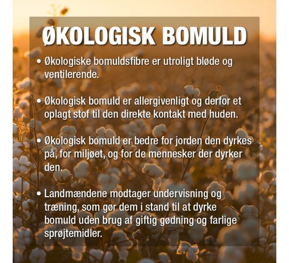 kobomuldsmaxitrussefrajbsofdenmarkhvidstrsmall-31