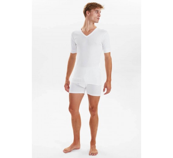 jbsoriginaltshirtmenvneck2xlarge-34