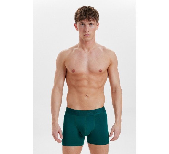 3-Pak Resteröds Bambus Boxershorts Grøn, Str. Large