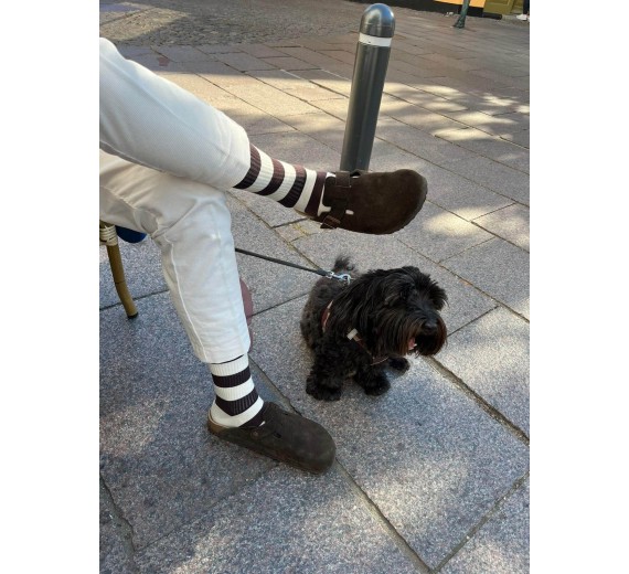 Socks CPH tennissokker til mænd, stribede, råhvid / mørkebrun, str. 45-48