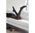 Decoy Leopard Strømpebukser Sort 20 Denier - Str. XL