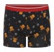 Jule-boxershorts Rudolf