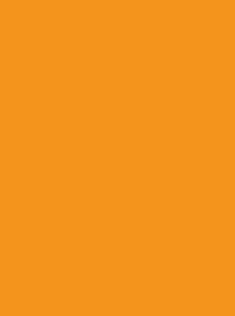 Orange-Farveblok-logo